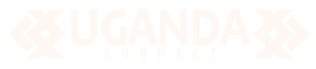 ws1
